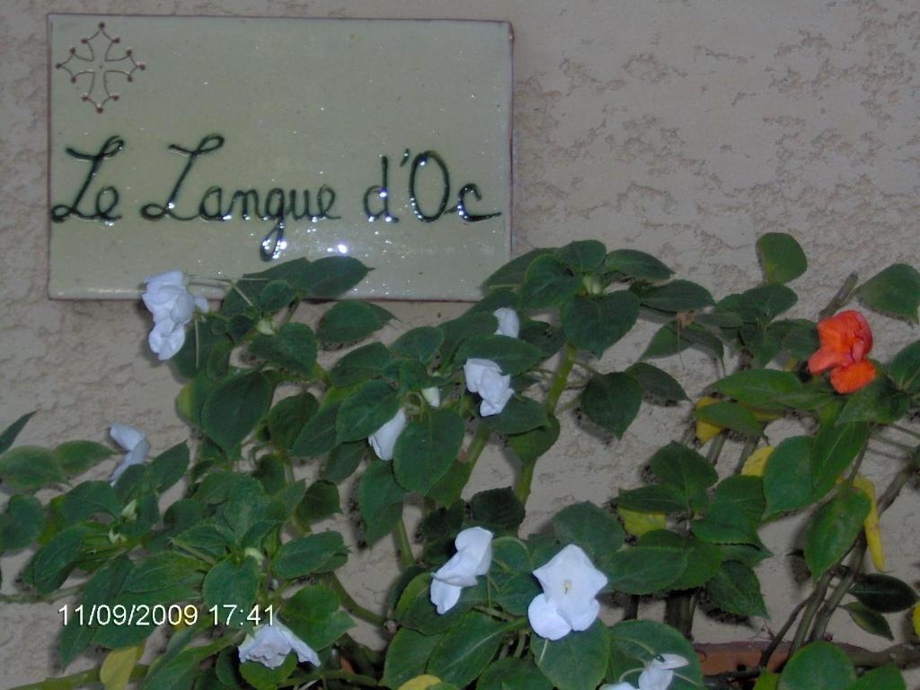Hotel Le Langue D'Oc Agde Eksteriør bilde